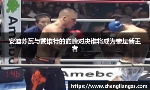 安迪苏瓦与戴维特的巅峰对决谁将成为拳坛新王者