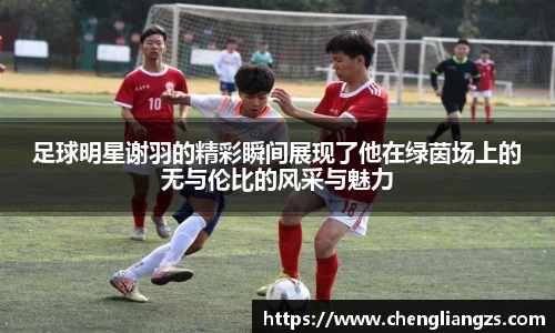 足球明星谢羽的精彩瞬间展现了他在绿茵场上的无与伦比的风采与魅力